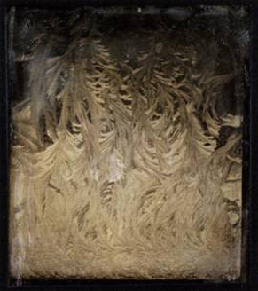 Anonym: Frost on Window, um 1850