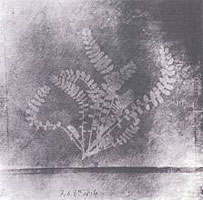 William Henry Fox Talbot: Ohne Titel, Feb. 6 th . 1836