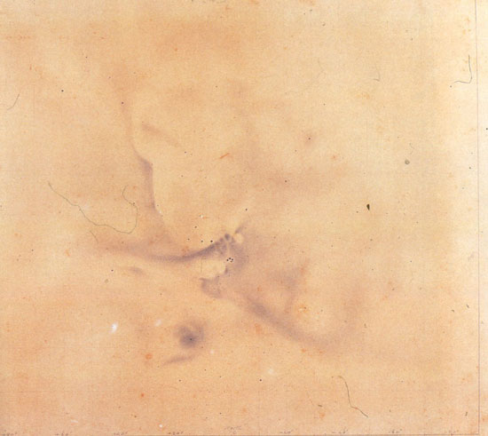 J.F.W. Herschel: „The Great Nebula in Orion [...]“, aufgenommen in Falkenham, Cape of Great Hope, 1833/38