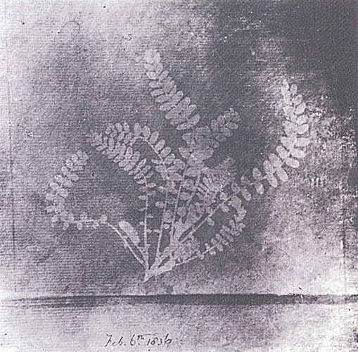 William Henry Fox Talbot: Ohne Titel, Feb. 6 th. 1836